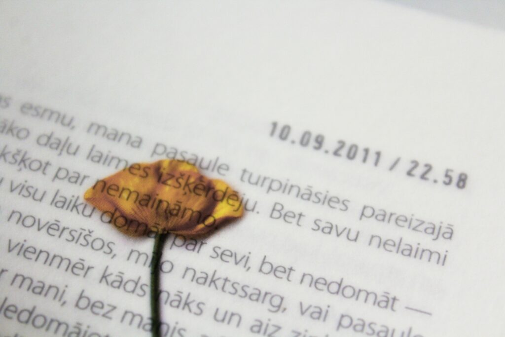 Poetic Courtesy in Novels That Endure