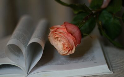 How Ethical Connections Shape Classic Literature